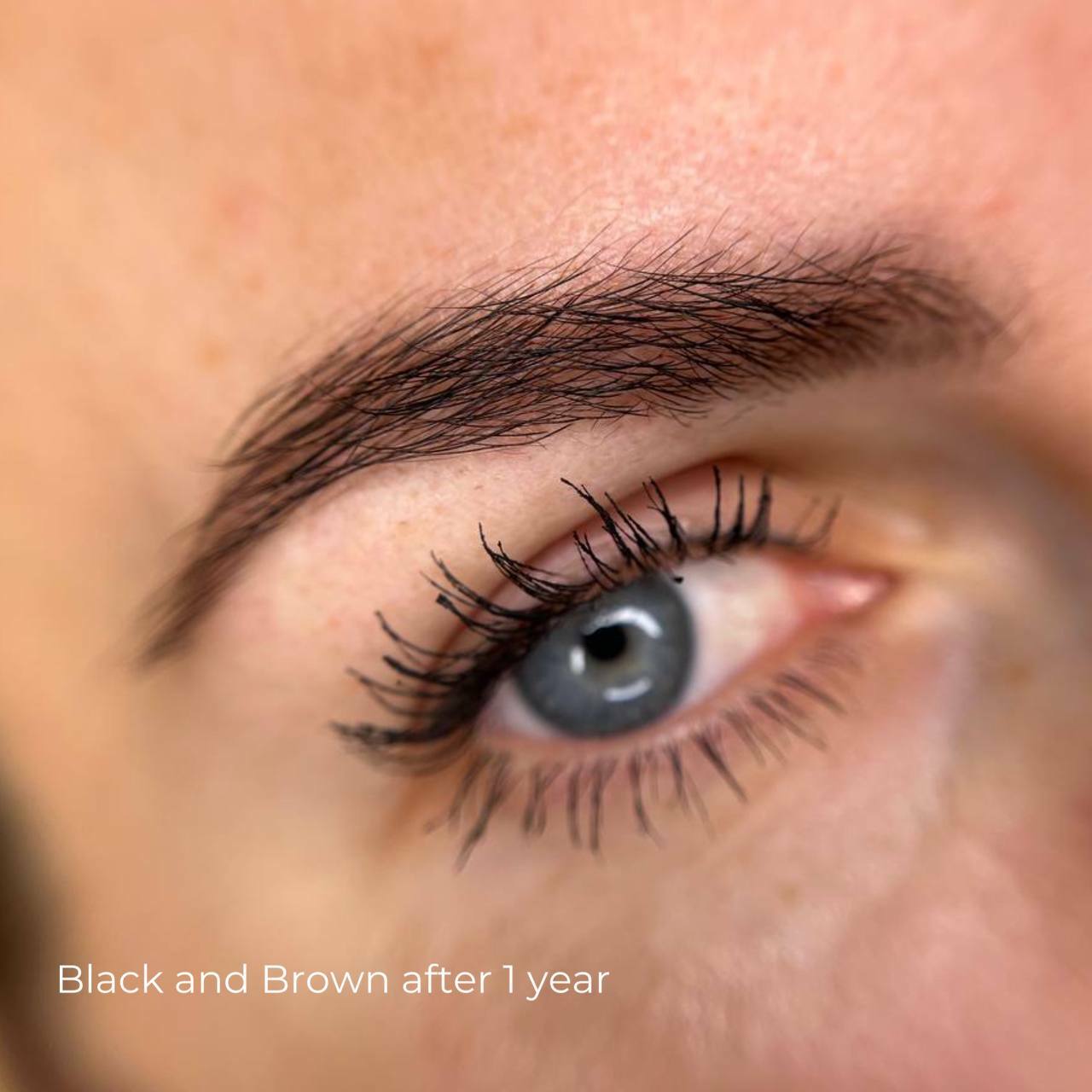 Black & Brown iColor pigment