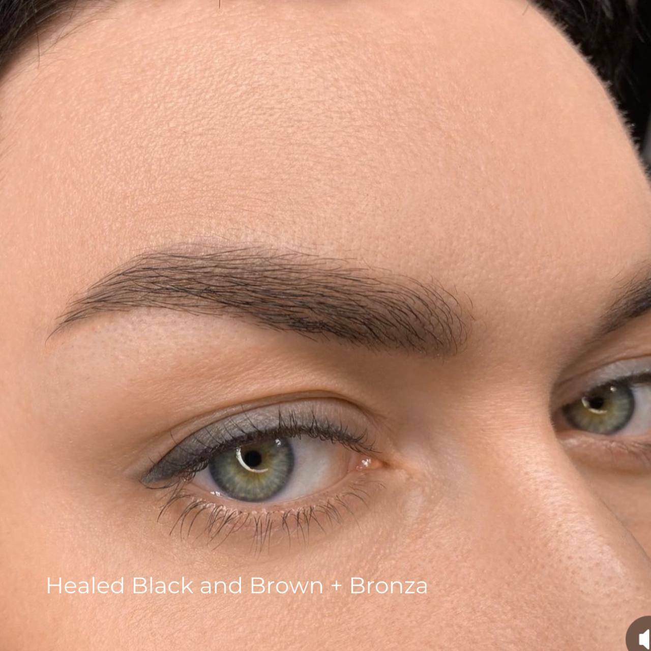 Black & Brown iColor pigment