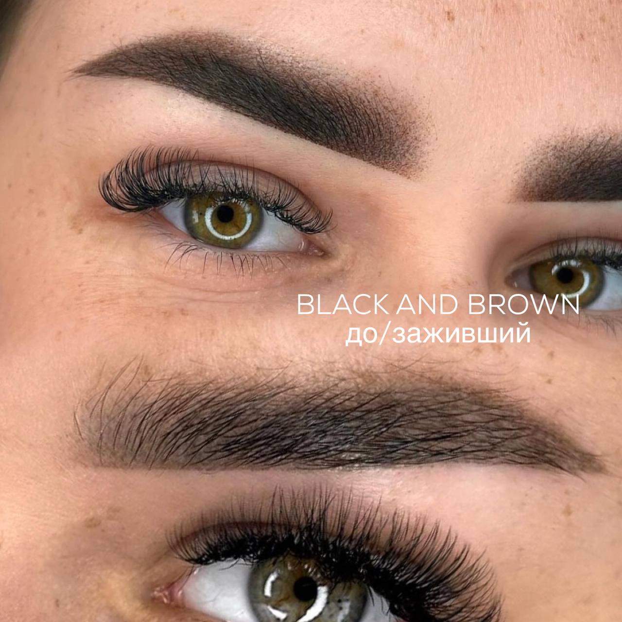 Black & Brown iColor pigment