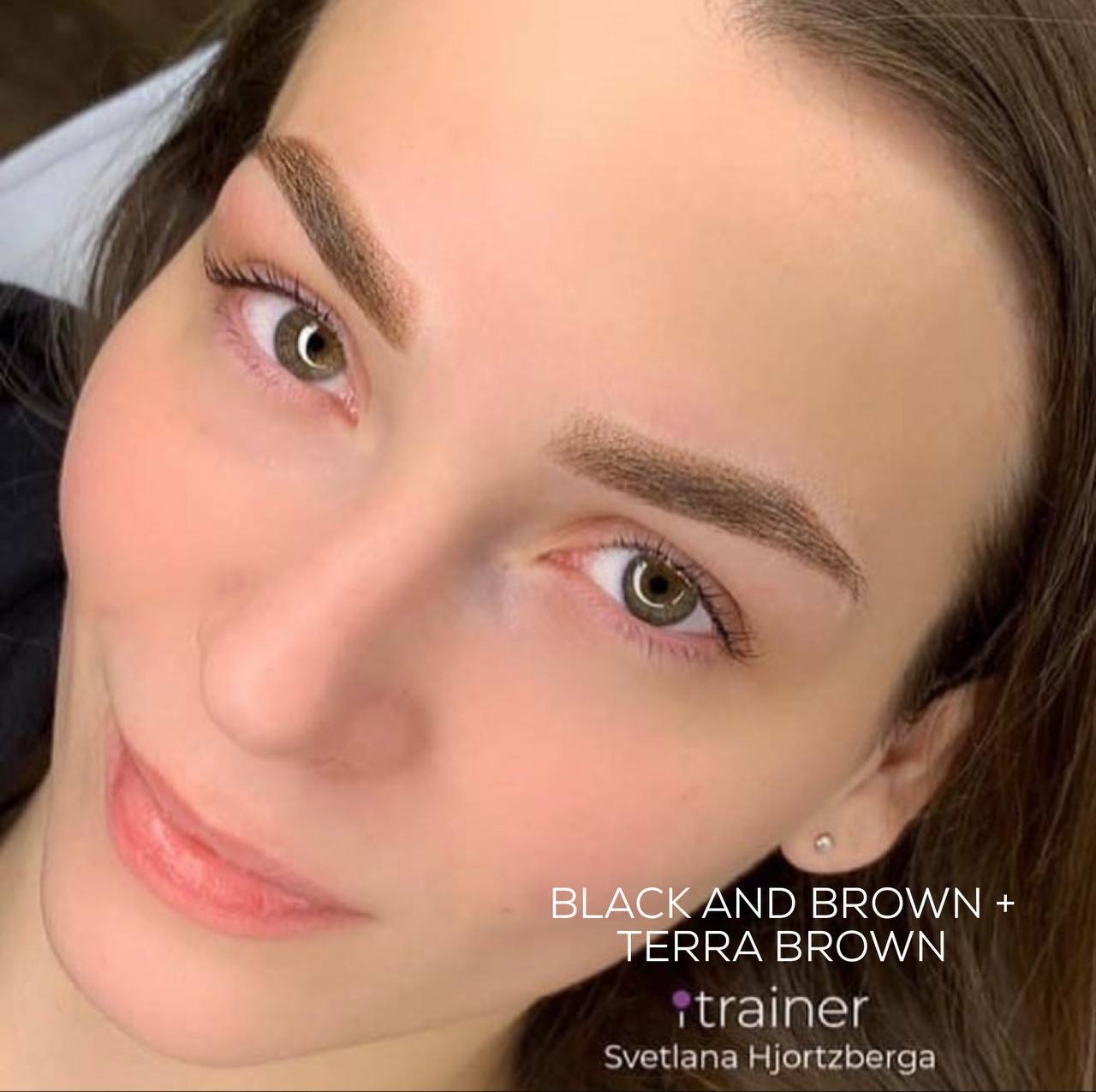 Terra Brown iColor pigment