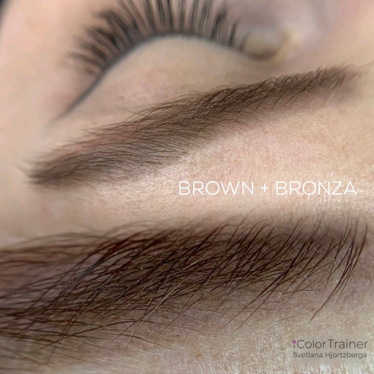 Brown iColor pigment