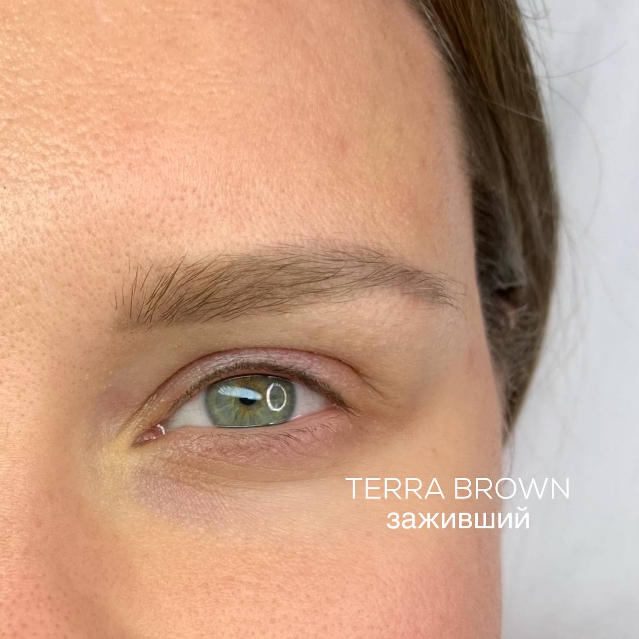 Terra Brown iColor pigment