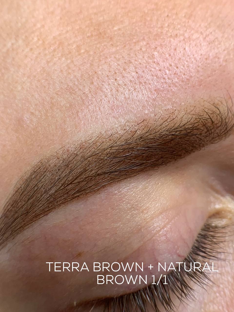 Terra Brown iColor pigment