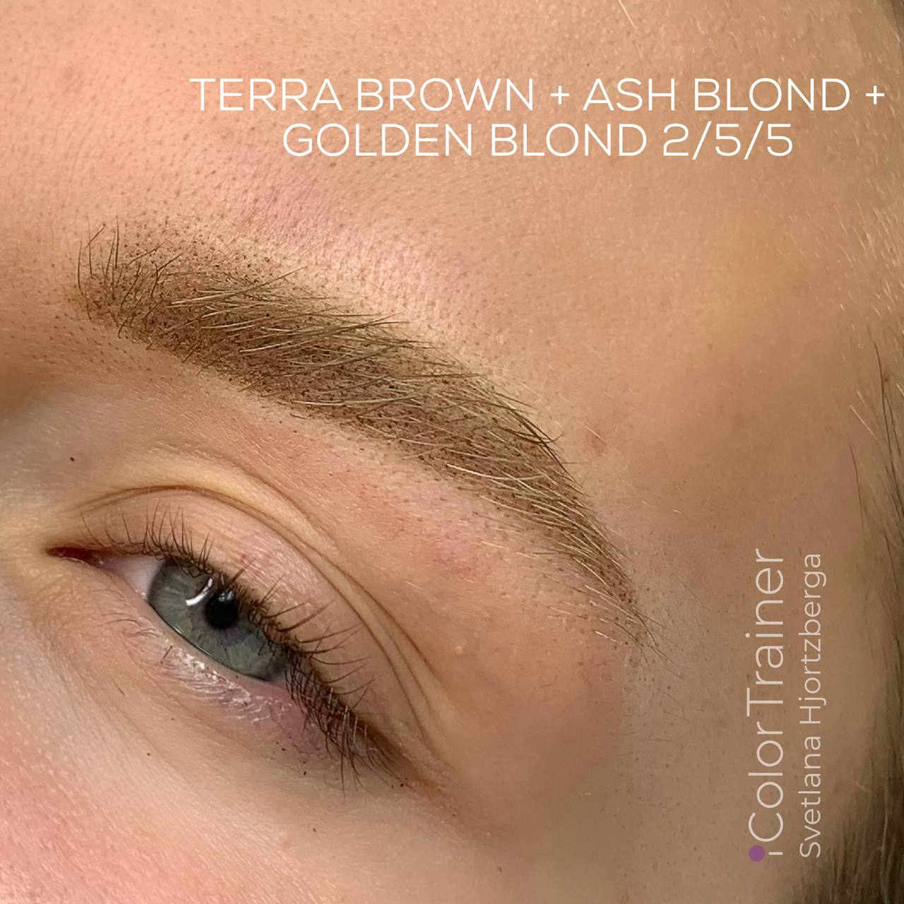 Terra Brown iColor pigment