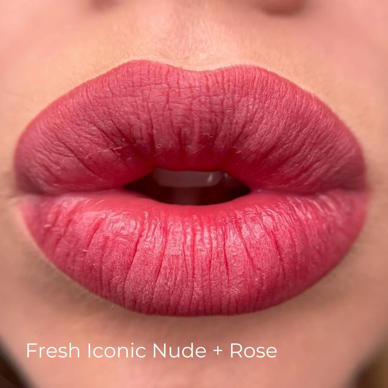 Iconic Nude iColor pigment