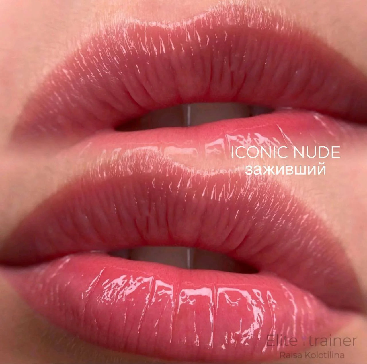 Iconic Nude iColor pigment
