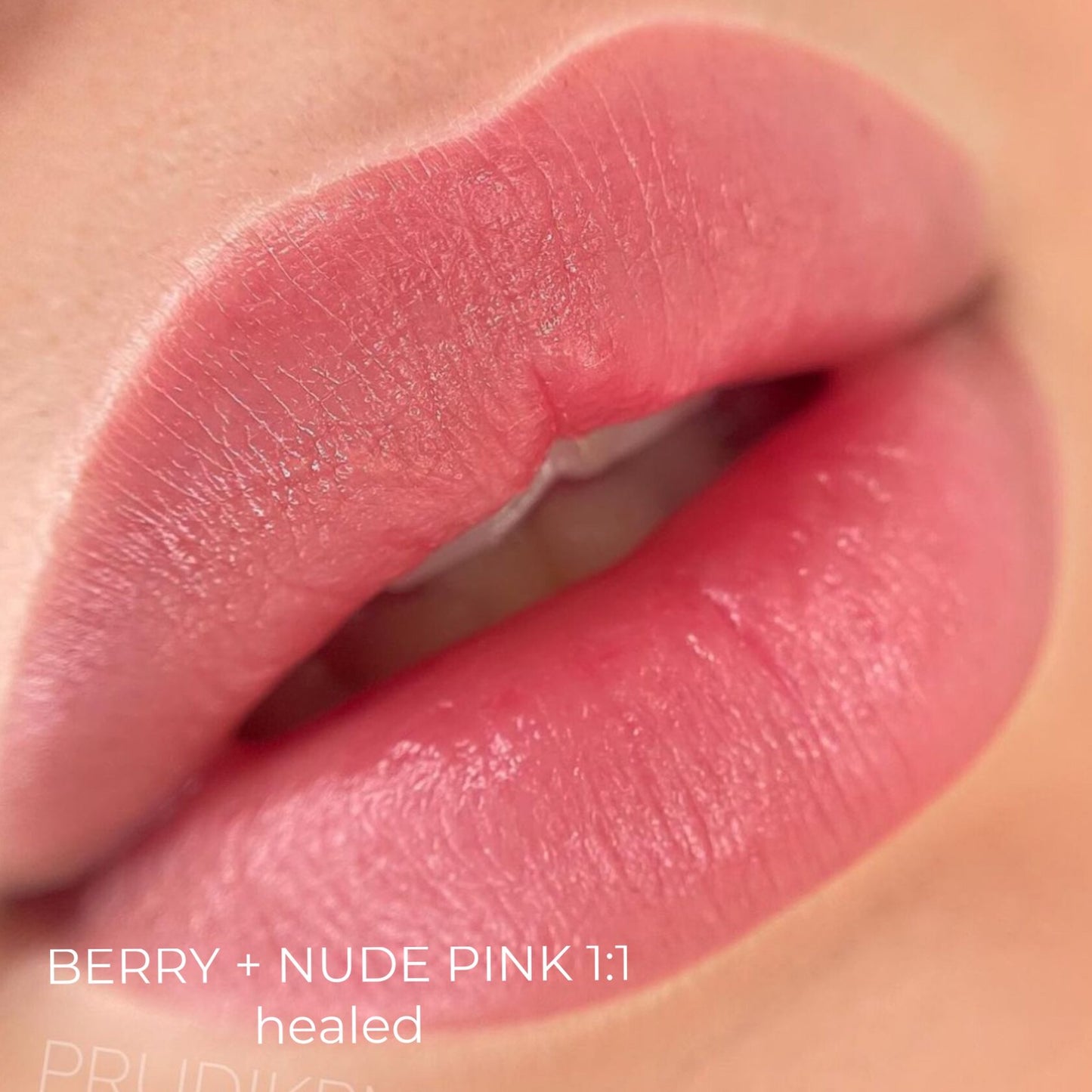 Berry iColor pigment