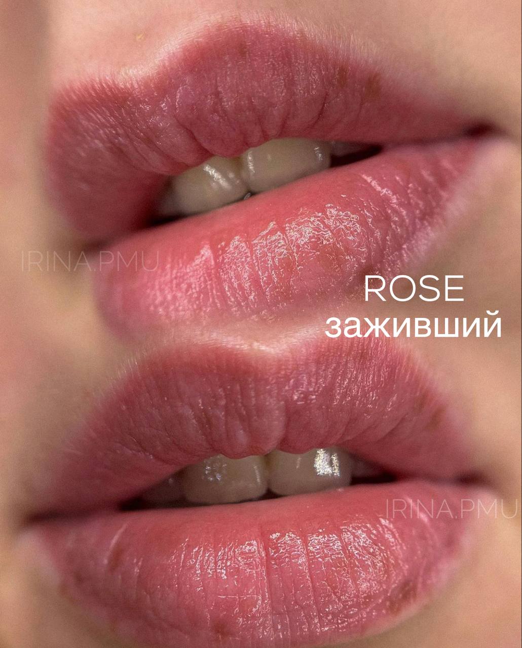 Rose iColor pigment
