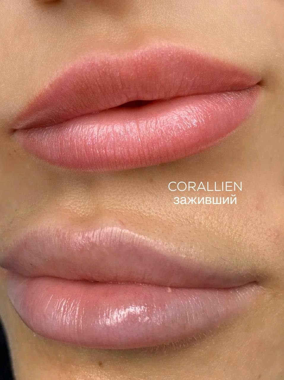 Corallien iColor pigment